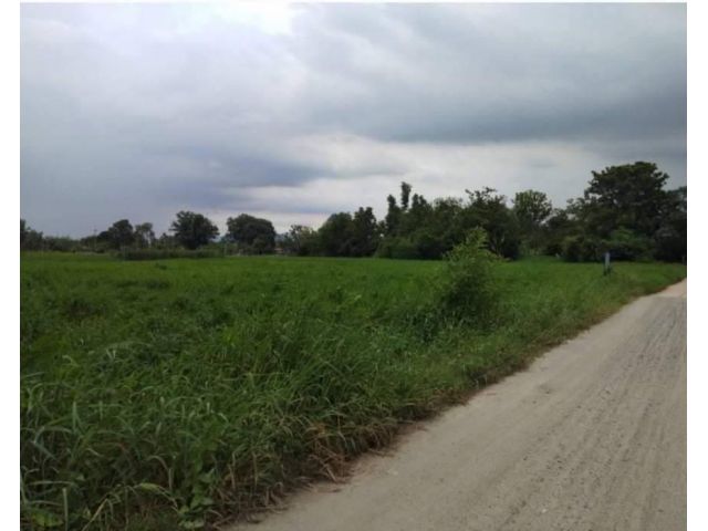 ขายที่ดินทุ่งขวาง 8 ไร่ ติดถนนคอนกรีต ใกล้ถนนเส้นจารุวร 349 - 800 เมตร พนัสนิคม ชลบุรี