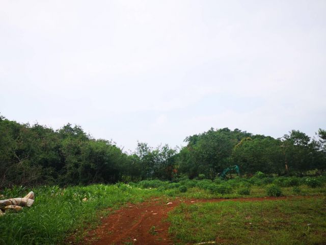 ขายที่ดิน 8-2-73 ไร่ ติดภูเขา ใกล้สนามฟุตบอลเมืองทอง เขาใหญ่ อ.ปากช่อง ที่ดินโฉนด ราคาไร่ละ 3.5 ล้านบาท