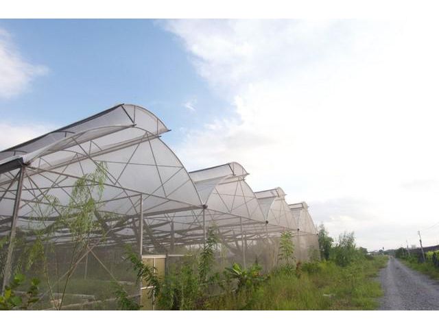 ขายที่ดินพร้อมโรงเรือน1ไร่ศาลายาคองโยง พุทธมณฑล