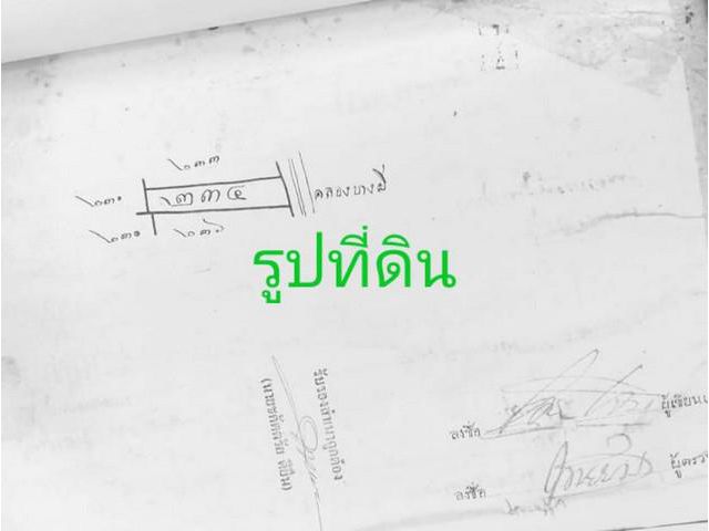 พาเพลินเลือกดูทรัพย์สวยๆ ขายที่ดินติดคอนกรีต