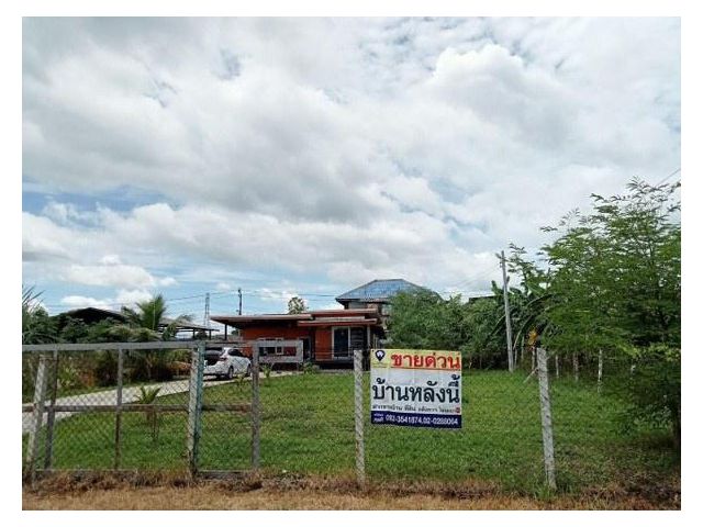 ขายบ้านเดี่ยวชั้นเดียว ไทรน้อย (รหัสทรัพย์ 202268)  ต.ทวีวัฒนา อ.ไทรน้อย จ.นนทบุรี ขนาด 200 ตรว.