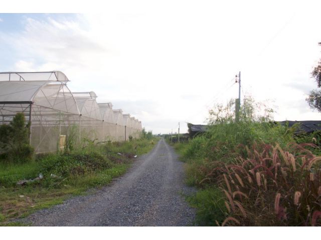 BL086 ขายที่ดิน พร้อมโรงเรือน 1ไร่ ศาลายา