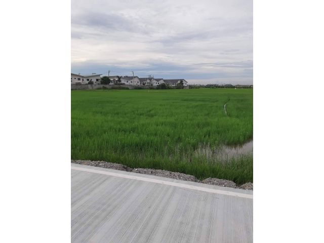 ขายที่ดิน 600 ตรว. ในซอยบางนาการ์เด้น (ถนนบางนา-ตราด กม.26) เขตบางเสาธง จ. สมุทรปราการ ใกล้ ABAC Bangna