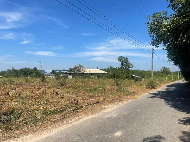 ขายที่ดินบ้านบึง 20. 5 ไร่ ติดถ. ลาดยาง ใกล้ถ. เส้นสัตหีบ-พนมสารคาม(331) - 3 กม. จ. ชลบุรี