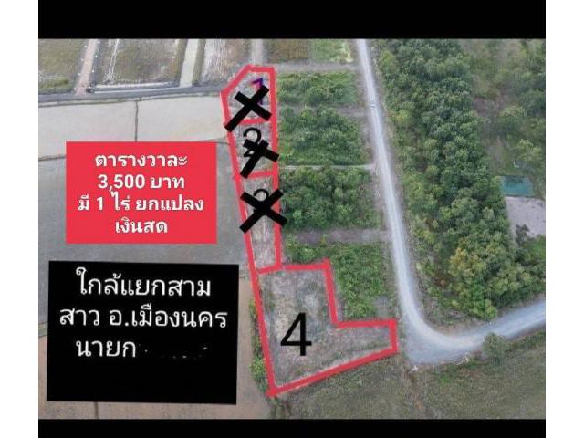 แปลงแยก สามสาว อำเภอเมืองนครนายก จ.นครนายก