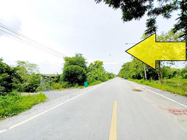 ขายที่ดินติดถนนลาดยาง คลอง 11 หนองเสือ 100 ไร่