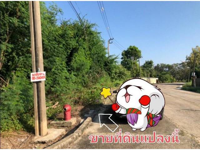 ขาย ที่ดินเปล่า ในหมู่บ้านกฤษดานคร 25 ธานนท์