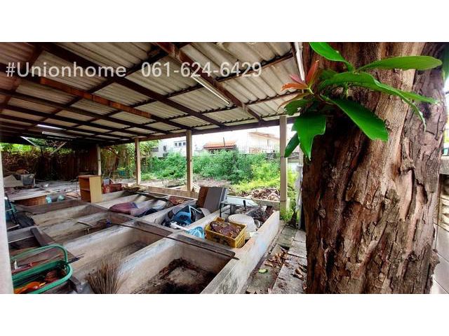 ขายที่ดินเปล่า อุดมสุข26 54 ตารางวา *3.5ล้าน*