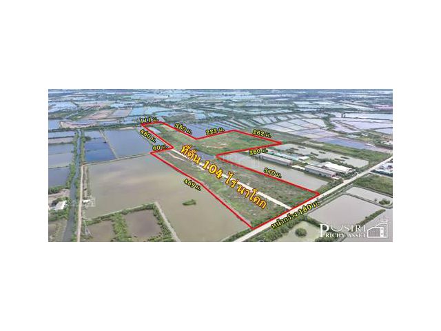 เลือกได้ ทั้งทำเล และราคา บนที่แปลงใหญ่ 104 ไร่ ถมแน่น ใช้งานได้ทันที เทรลเลอร์ลุยสบาย ติดถนนคอนกรีตกว้าง 12 ม. ใกล้พระร