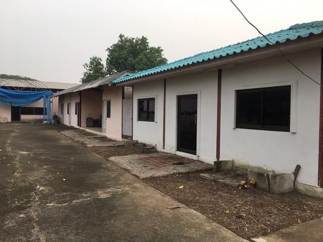 ขายที่ดินพร้อมโกดัง 1 หลัง  200 ตรว.พุทธมณฑลสาย 3