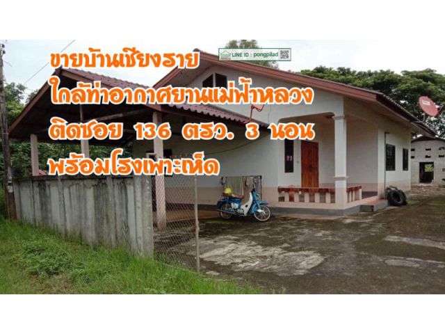 ขายบ้านเชียงราย ใกล้ท่าอากาศยานแม่ฟ้าหลวง 136 ตรว. 3 นอน พร้อมโรงเพาะเห็ด