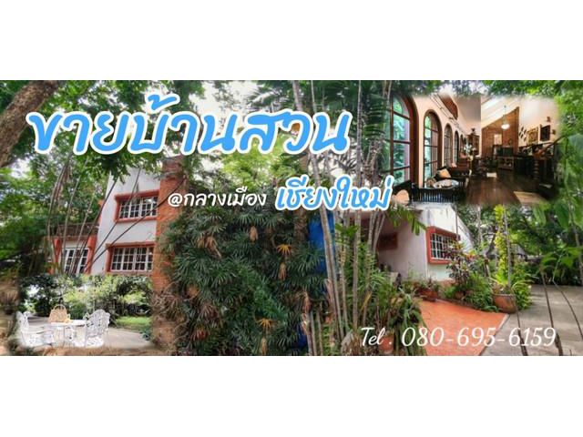 ขายบ้านสวน กลางเมืองเชียงใหม่ ใกล้ห้างเมย่า