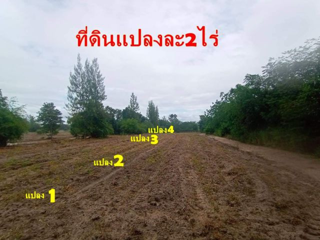 ขายที่ดินสวนผึ้งราชบุรี 2 ไร่ อยู่ในซอยไปวัดวังน้ำเขียว ที่ดินห่างจากถนนสวนผึ้งป่าหวาย 700 เมตร