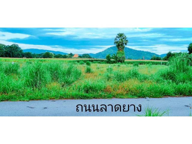 ที่ดินวิวเขาสวยใกล้วัดเขาดีสลัก บรรยากาศดีทำเลดีเหมาะสร้างบ้านสวนยามเกษียณ