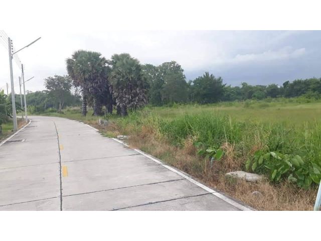 ที่ดิน 3 ไร่ หนองข้างคอก ใกล้สถานีรถไฟฟ้าชลบุรี