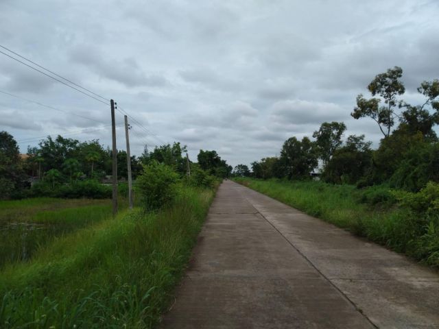 ขายที่ดิน 0-2-0 THB1,300,000 นาดี, เมือง, อุดรธานี