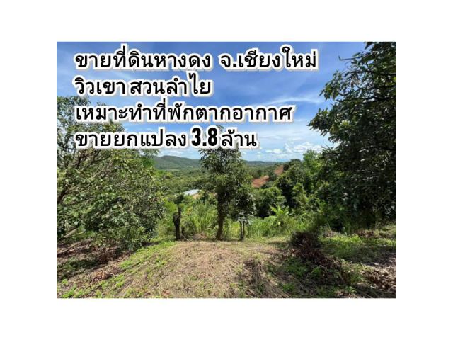 ขายที่ดินหางดง วิวเขา สวยลำไย เนื้อที่ 3-2-0 ไร่ เนินสโลป เหมาะทำโดมที่พัก ที่พักต่างอากาศ