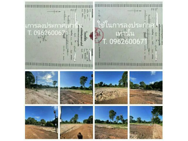 ที่ดินทำเลดี แปลงสวย ตำบลพังกว้าง อำเภอเมืองสกลนคร โฉนดครุฑแดง พร้อมโอน