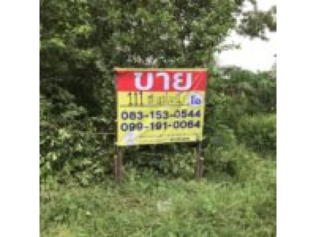 ขายที่ดินสวยใกล้เกาะเมืองอยุธยา111วา