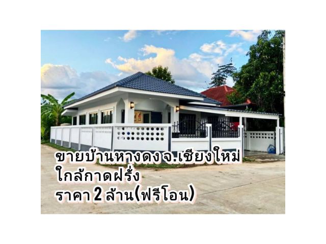 ขายบ้านหางดง จ.เชียงใหม่ บ้านสร้างใหม่ ใกล้กาดฝรั่ง เนื้อที่ 40 ตร.ว เฟอร์นิเจอร์ครบพร้อมเข้าอยู่