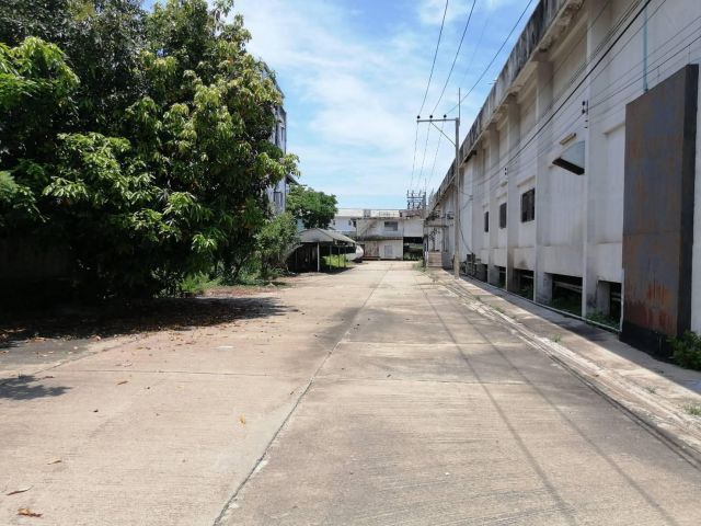 ให้เช่าโกดัง คลังสินค้า โรงงาน พร้อมออฟฟิศ สามารถปรับเปลี่ยนเป็นห้องเย็น ถนนเทพารักษ์ ใกล้เมกาบางนา พื้นที่ 3,300 ตร.ม.
