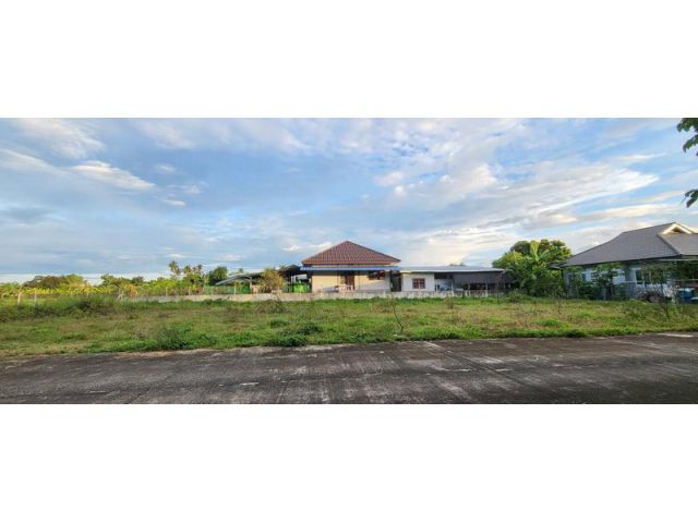 ขายที่ดินสันทราย จ.เชียงใหม่ ใกล้โรงงานนกพิราบ ที่ดิน 100 ตร.ว. #ที่ถมแล้ว ไฟฟ้า ปะปาพร้อมใช้