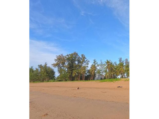 สักกะวาทรัพย์ทวีสิน  ขายที่ดิน จ.ประจวบ