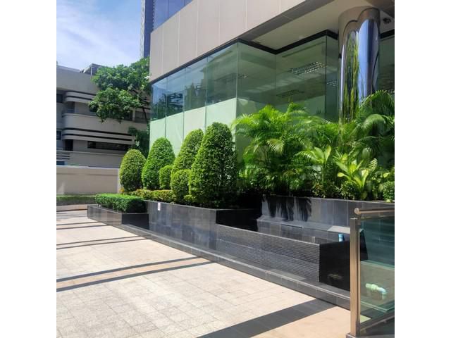 ให้เช่าพื้นที่สำนักงาน โชว์รูม สีลม คอนแวนต์