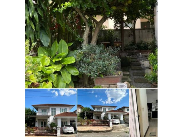 ขายถูกบ้านมือ2 โครงการland&houseแม่โจ้