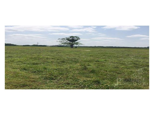 ที่ดิน 9 ไร่เศษ เหมาะคนรักสงบ เดินทางได้หลายเส้นทาง ใกล้ความเจริญ และตัวเมืองนครศรีธรรมราช  KK3238S