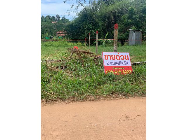 ขายด่วน ที่ดิน น้ำไฟพร้อม ใกล้ตลาดหนองหลุบ เข้าออกสะดวก เมืองขอนแก่น สนใจโทร 098 419 6323