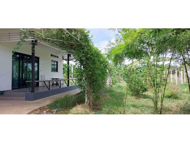 ขายบ้านพร้อมที่ดิน ทำเลดี เหมาะสำหรับทำสวน เกษตร