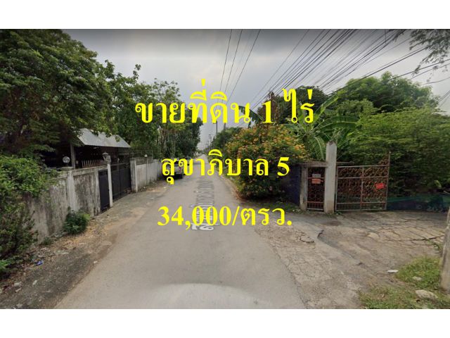 ขายที่ดิน  สุขาภิบาล 5