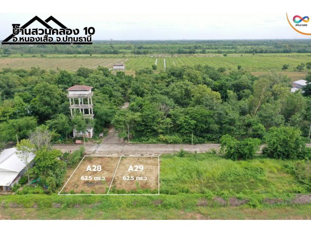 ขาย - ที่ดินขนาด 62.50 ตารางวา    บึงบา หนองเสือ ปทุมธานี   TRL-32