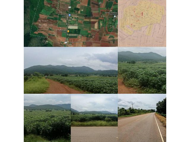 ขาย ที่ดิน สวยมาก ที่ดินติดต่อกันเป็นผืนเดียวกัน หนองม่วง ลพบุรี