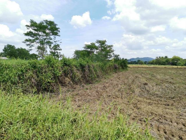 ขายที่ดินสาริกา 1 ไร่ ติดถนนคอนกรีต ใกล้ถนน 3049 - 1.2 กม. อ.เมืองนครนายก จ.นครนายก