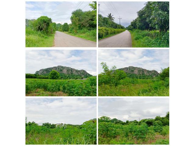 ขายที่ดินหน้ากว้าง โฉนด 18ไร่ ทำเลดี ติดถนนดำ 2 ด้าน เเปลงสวย ประปา ไฟฟ้าสามเฟส ใกล้ถนนสายหลัก ทุ่งหลวง ปากท่อ ราชบุรี