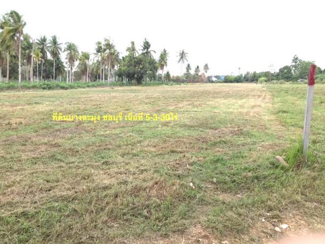 @@ขายที่ดิน 5-3-50ไร่ตะเคียนเตี้ย ใกล้ถนนคู่ขนานมอเตอร์เวย์ (7) ห่าง 1.2กม.ผังเมือง EEC สีเหลืองอ่อน##