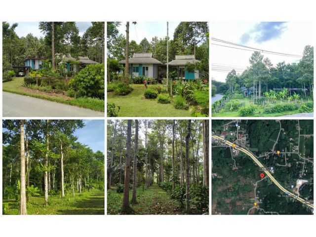 ขายที่ดินโฉนด พร้อมบ้านไม้ อ.จุฬาภรณ์ จ.นครศรีฯ ทำเลดี ติดถนนเอเชีย หน้ากว้าง 180 ม.