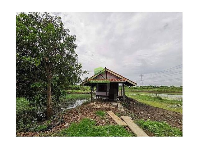 ขายที่ดินหนองจอก คลองสิบสอง ประชาสำราญ เนื้อที่ 3 ไร่ ทำเลดี เดินทางสะดวก