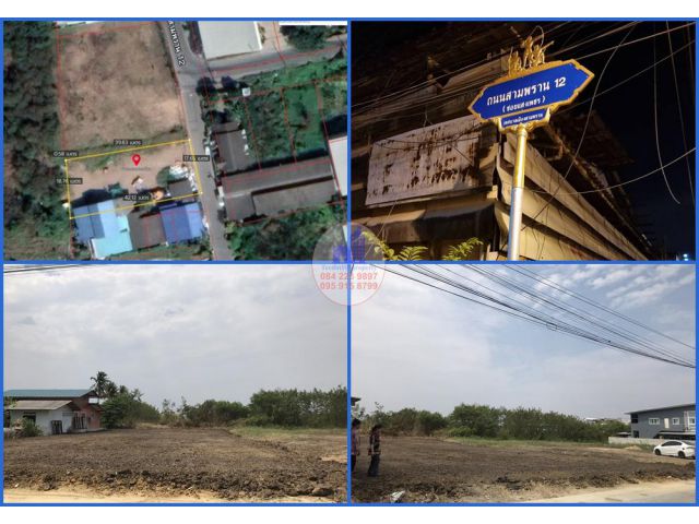 ขายที่ดิน 176 ตรว. ถมแล้ว ซอยสามพราน12 อ.สามพราน จ.นครปฐม แหล่งชุมชน