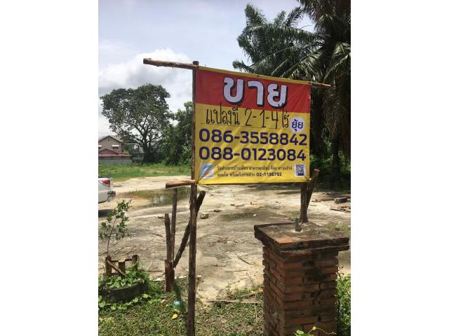 ขายที่ดิน ติดถนนสวนผัก 64  เนื้อที่2-1-4ไร่ (904 ตรว)