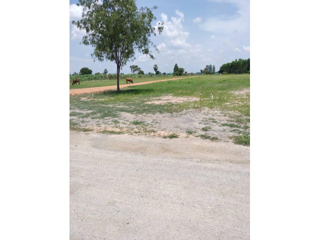 ที่ดินแบ่งขายแปลงละ 1 ไร่ ต.หนองโสน จ.กาญจนบุรี