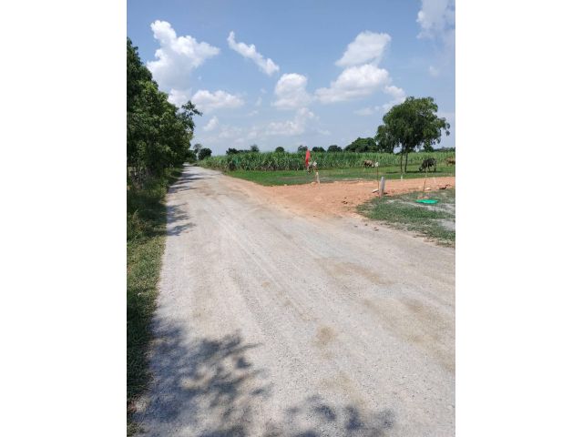 ที่ดินแบ่งขายแปลงละ 1 ไร่ ต.หนองโสน จ.กาญจนบุรี