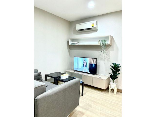the Ace Ekkamai for rent 1 bedroom 1 bathroom 42 sqm. rental 12000 baht/month