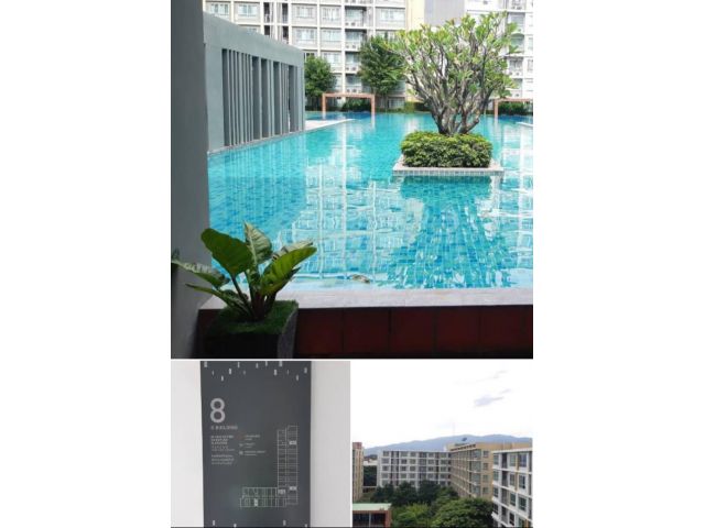 ขายถูกD condo sign ชั้น8วิวสวยสระ ดอยสุเทพ