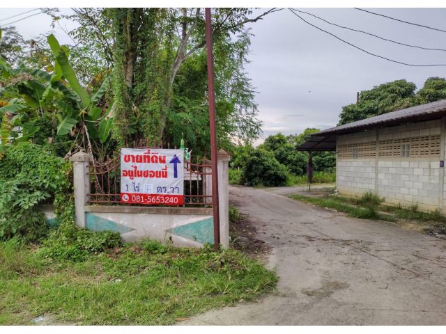 ขายที่ดิน 1 ไร่ 94 ต.ร.วา ใกล้วังมัจฉาพญาชมภู อ.สารภี จ.เชียงใหม่