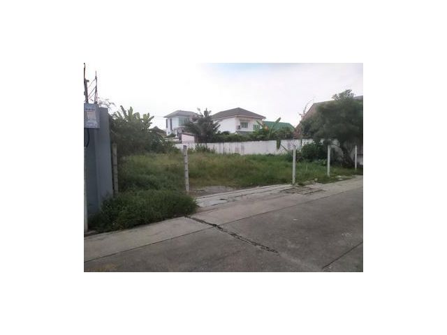 ที่ดินเปล่า ถมแล้ว 101 ตรว.นาคนิวาส 21 แยก 2-3