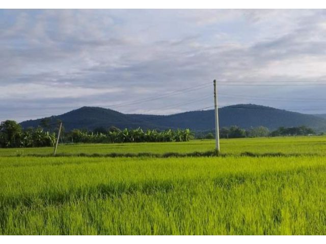 ขายที่นาวิวดอยบ้านแม่โป่งดอยสะเก็ตโฉนดพร้อมโอน