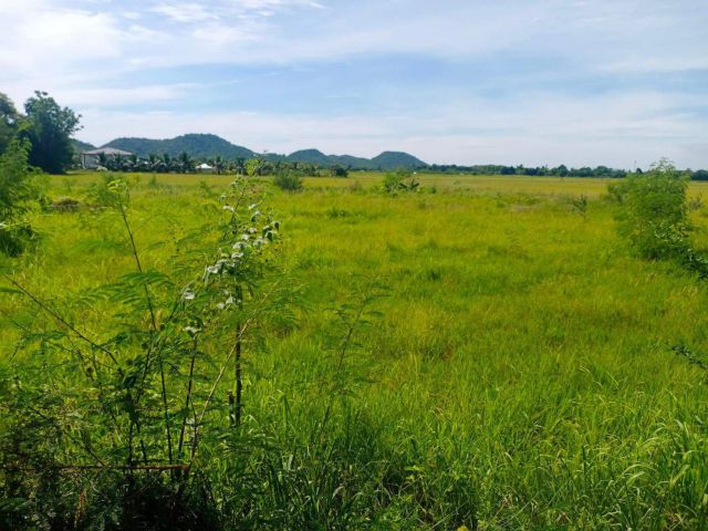 ที่ดิน 1 ไร่เศษ..เหมาะปลูกบ้านอยู่อาศัย..ถนนลาดยาง..ไฟฟ้า..ประปาพร้อม..ใกล้วัดทุ่งหญ้าคมบาง..ดอนแร่ราชบุรี ห
